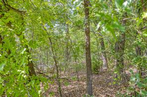 1129 Crazy Horse Trail - Photo 39