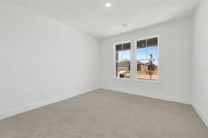 1725 Willow Patch Drive - Photo 19