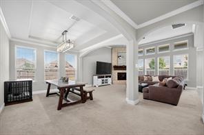 4250 Salado Creek Way - Photo 8