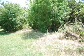 1413 Lakeside Trail - Photo 10