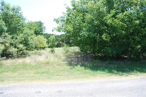 1413 Lakeside Trail - Photo 2
