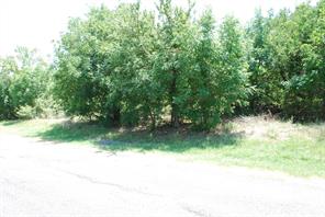 1413 Lakeside Trail - Photo 3