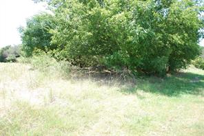 1413 Lakeside Trail - Photo 7
