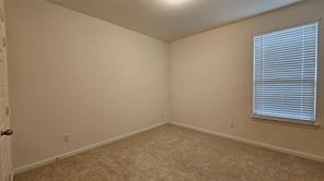 1215 Stagecoach Trail - Photo 21