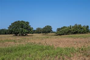 148 Private Road 169 - Photo 20
