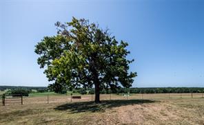 148 Private Road 169 - Photo 36