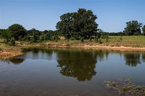 148 Private Road 169 - Photo 5