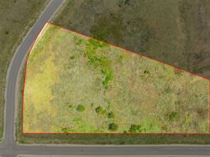 3517 Bravery Drive - Photo 6