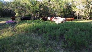 TBD CR 244 - Photo 8