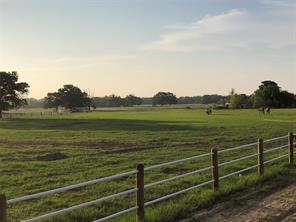 4250 Hwy 154 - Photo 3
