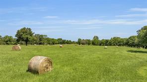 365 County Road 1534 - Photo 5