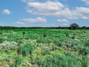 12.69 S FM 269 - Photo 8