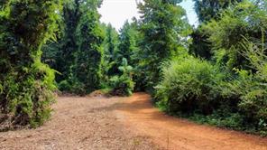 1317 N Main Street - Photo 4