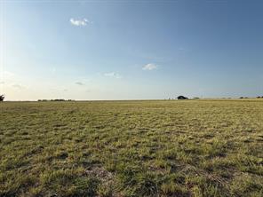 3101 Fm-217 - Photo 24