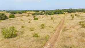 TBD County Road 507 - Photo 11