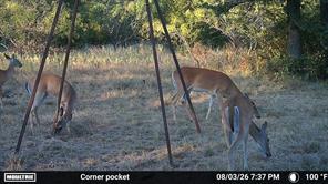 TBD County Road 507 - Photo 32