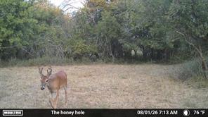 TBD County Road 507 - Photo 34