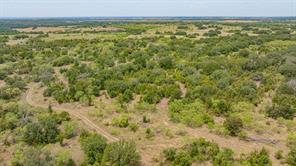 TBD County Road 507 - Photo 36