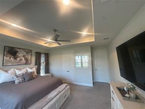 1603 Banded Ledge Drive - Photo 11