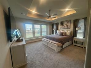 1603 Banded Ledge Drive - Photo 13