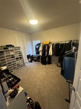 1603 Banded Ledge Drive - Photo 21
