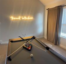 1603 Banded Ledge Drive - Photo 22