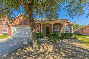 6717 Dream Dust Drive - Photo 1
