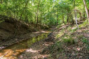 00 Tom Eubanks Rd - Photo 1