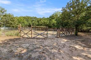 313 Hogan Lane - Photo 22
