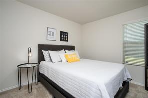 425 Sweet Shade Lane - Photo 4