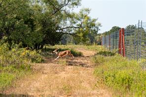 897 N Wilson - Photo 11