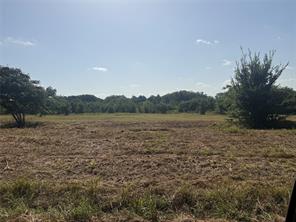 Lot 11 Reast Road - Photo 1