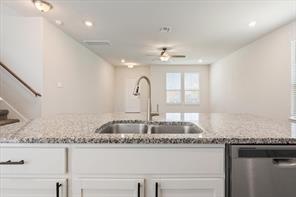 6317 Elephant Butte Drive - Photo 13
