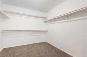 6317 Elephant Butte Drive - Photo 26
