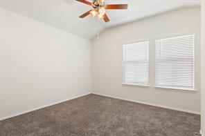 6317 Elephant Butte Drive - Photo 28