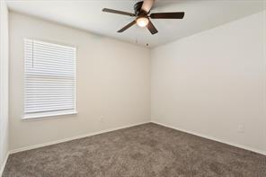 6317 Elephant Butte Drive - Photo 30