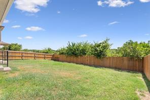 6317 Elephant Butte Drive - Photo 40