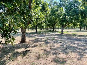0000 FM 1496 - Photo 15