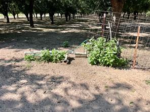 0000 FM 1496 - Photo 3