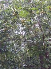 0000 FM 1496 - Photo 8
