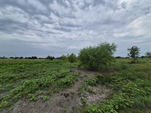 LOT 38 Pr 4311 - Photo 4
