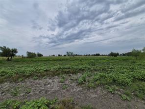 LOT 38 Pr 4311 - Photo 5