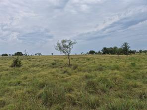LOT 38 Pr 4311 - Photo 9