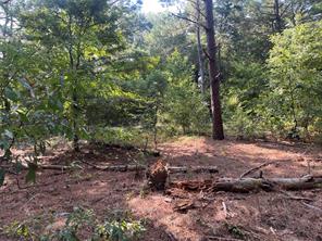 TBD County Road 3303 - Photo 10