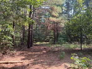 TBD County Road 3303 - Photo 11