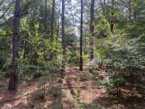 TBD County Road 3303 - Photo 12