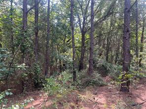 TBD County Road 3303 - Photo 13