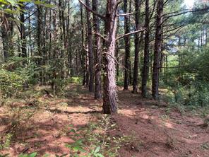 TBD County Road 3303 - Photo 14