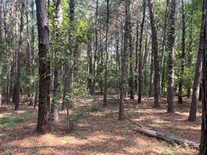 TBD County Road 3303 - Photo 16