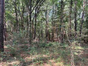 TBD County Road 3303 - Photo 18